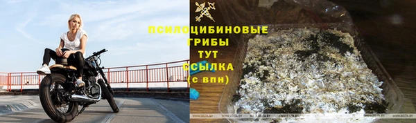 бошки Алзамай