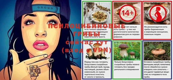 винт Алексеевка