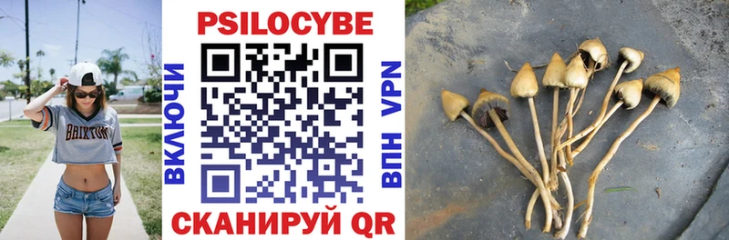 OMG как зайти  мориарти Telegram  Галлюциногенные грибы Psilocybe  Арзамас 