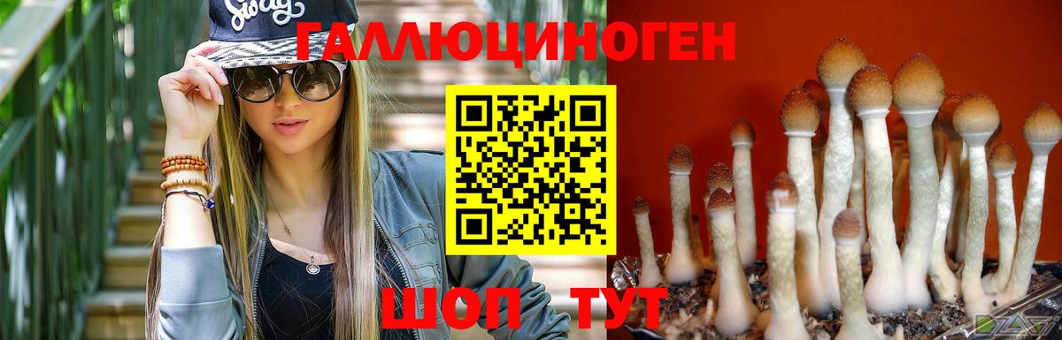 Псилоцибиновые грибы GOLDEN TEACHER Арзамас